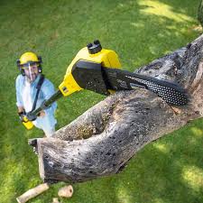 Best Lawn Maintenance Plans  in Baywood Park, CA